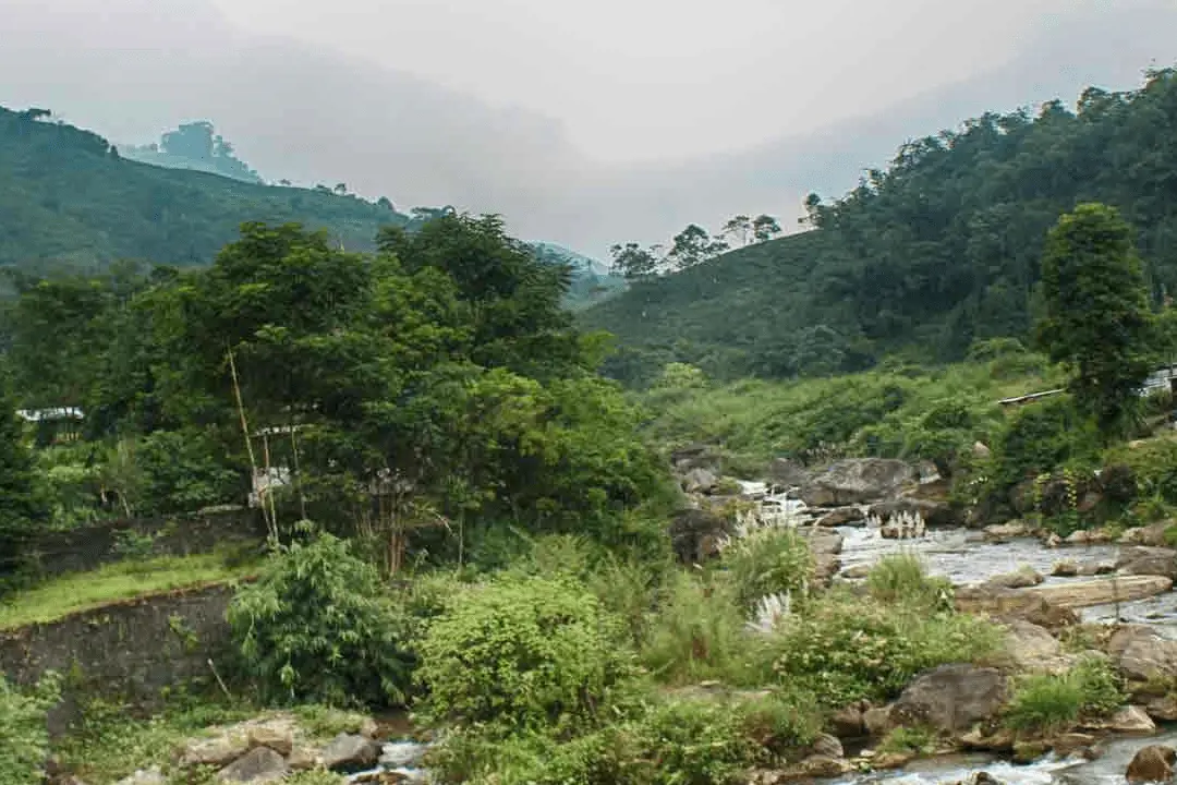 A lush, green mountain landscape with a winding river flowing through the valley. The scene is surrounded by dense forests and shrouded in a misty, atmospheric haze, creating a serene and tranquil atmosphere