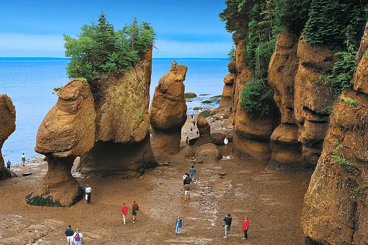 Bay of Fundy ~ Tide Out, Ocean, beach